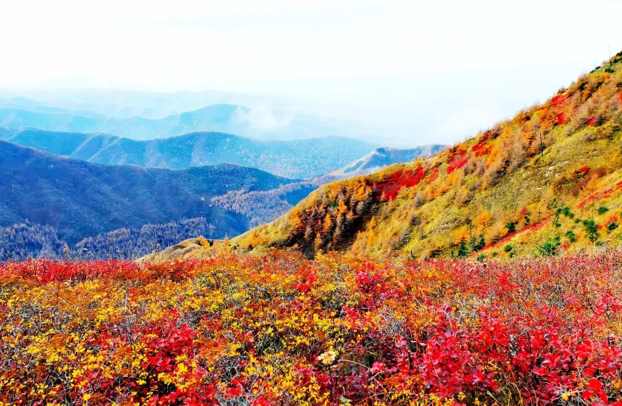 秋游六盘山（散文）