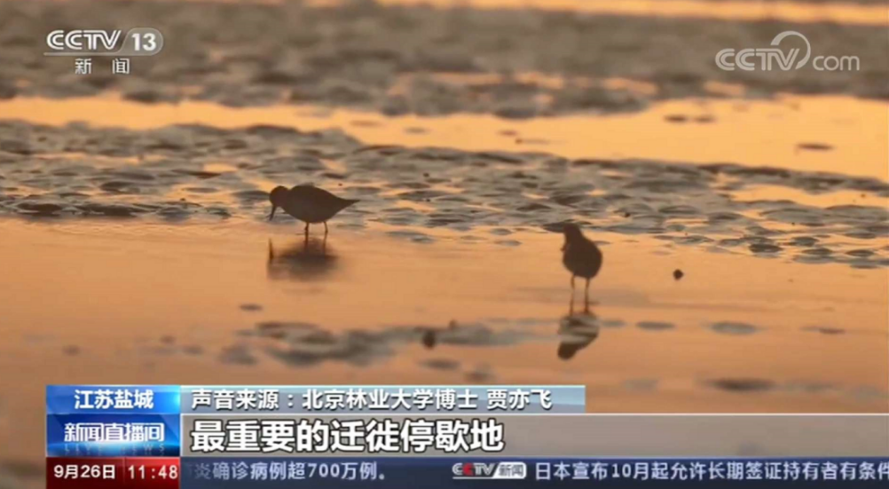 火了！北京这所大学频频登上中央电视台，研究成果在全世界发行！