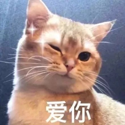 杀疯了！2000元以内最香的手机，都在这了