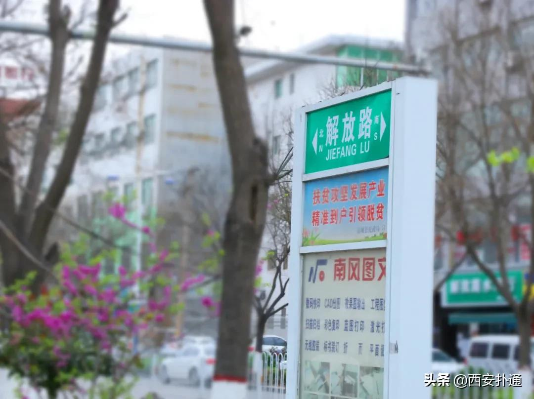 蒲城，我去过最好吃的城市