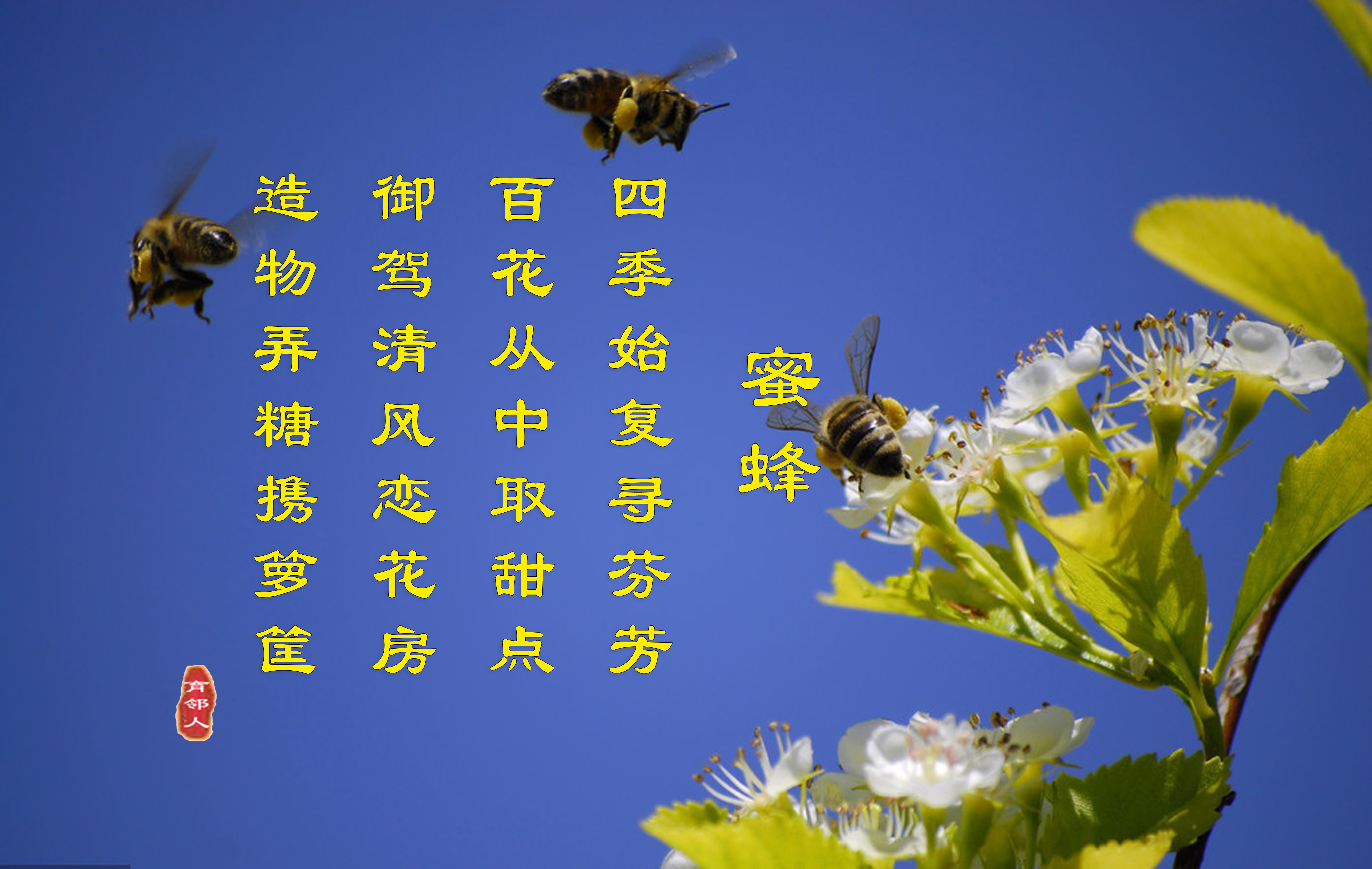 蜜蜂——七言诗，致敬最美劳动者