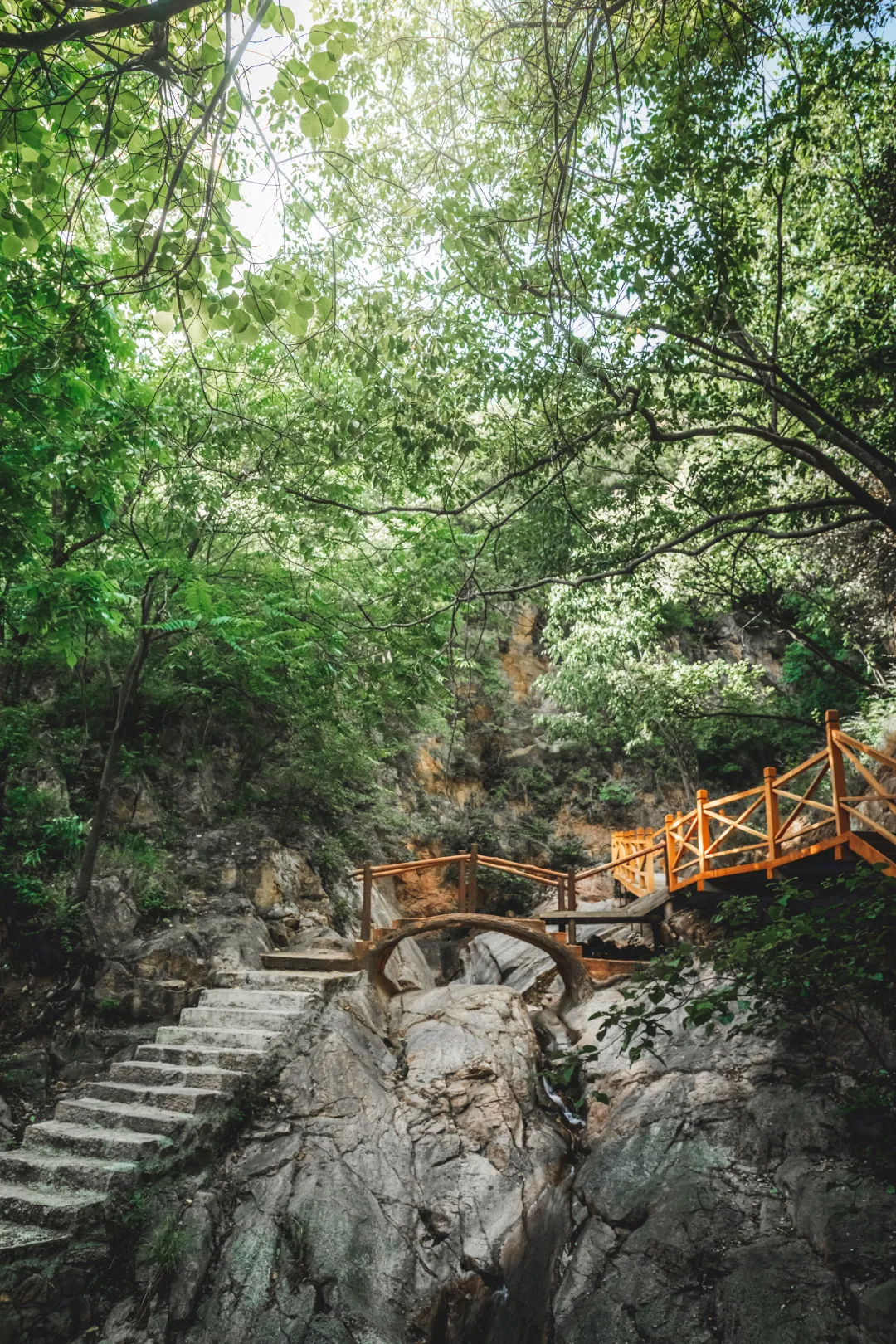 画眉谷(绿野仙踪 | 五一精品旅游推荐,画眉谷景区@你探寻人间仙境!