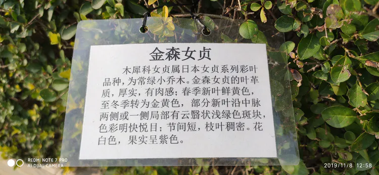 陪你一起看湖北省广水一中①——走进植物王国