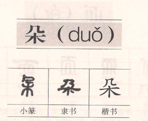 部编版语文一年下《荷叶圆圆》知识干货和积累扩展  值得收藏