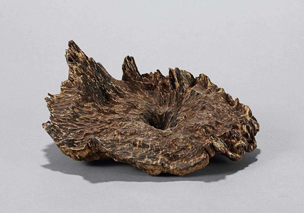目前中国国内种植的沉香品种中国本土沉香有哪些品种