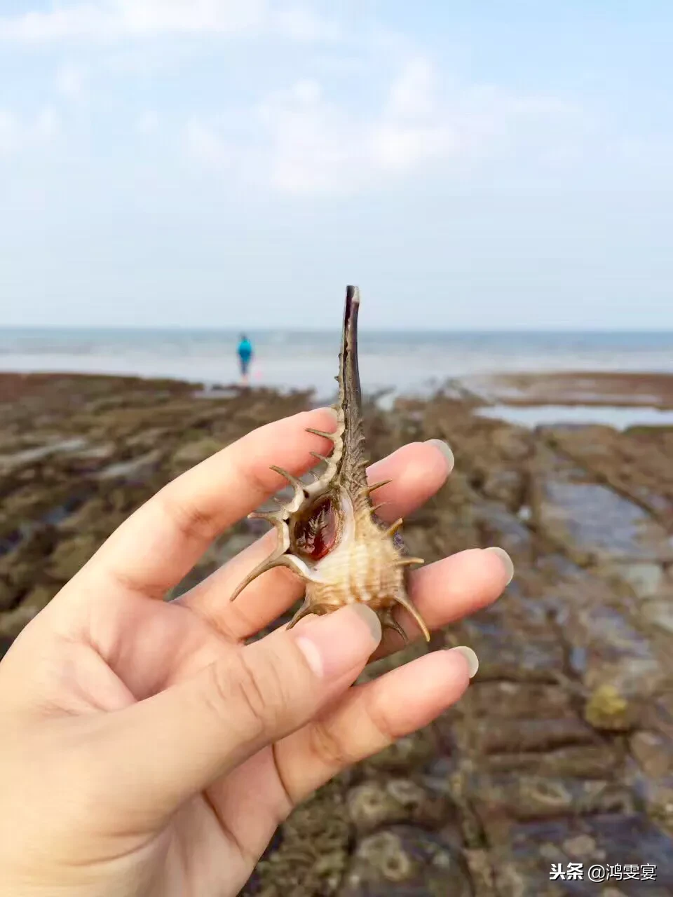 涠洲岛5日游自由行攻略-超详细