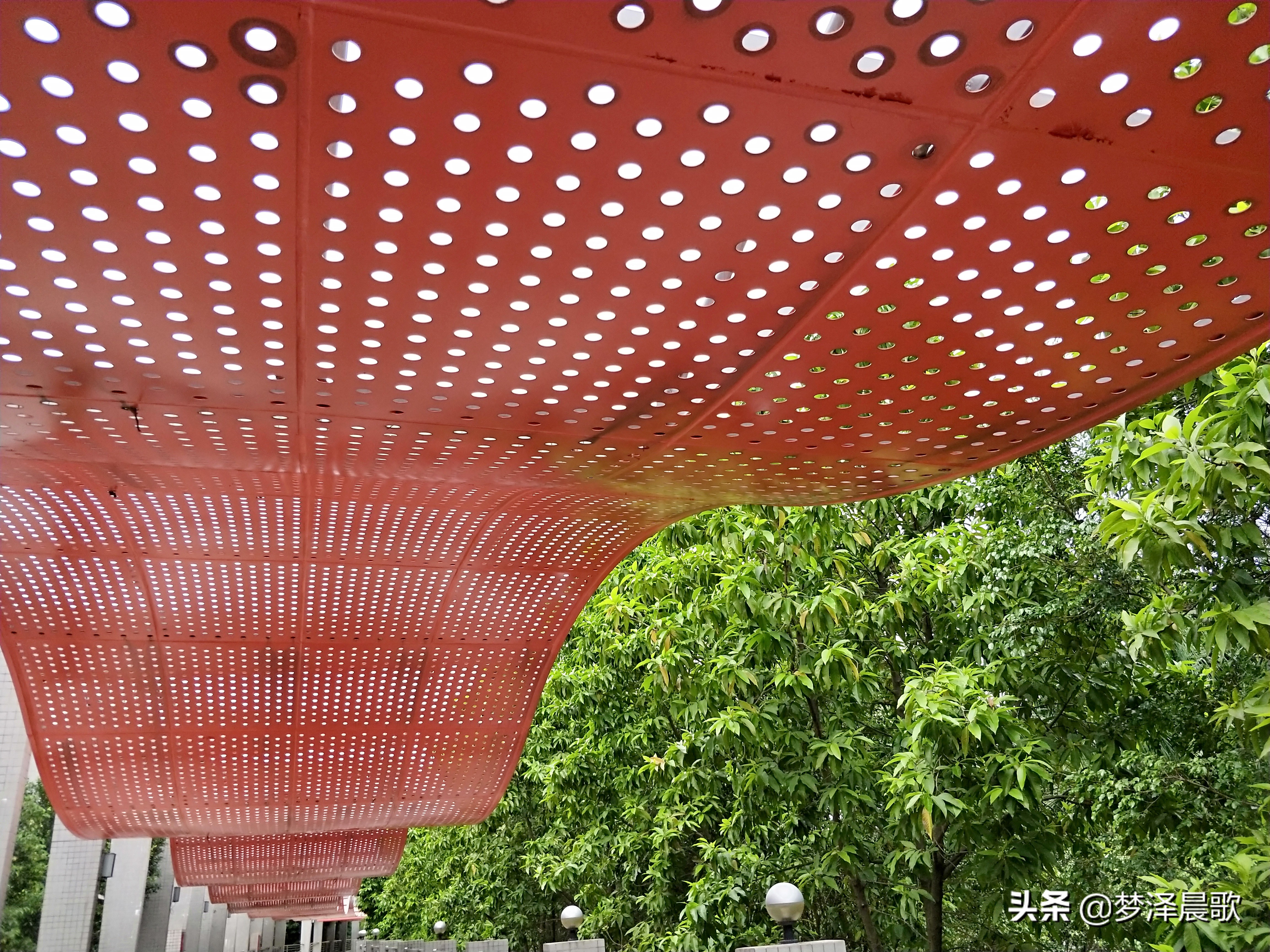 美丽校园“广州大学”