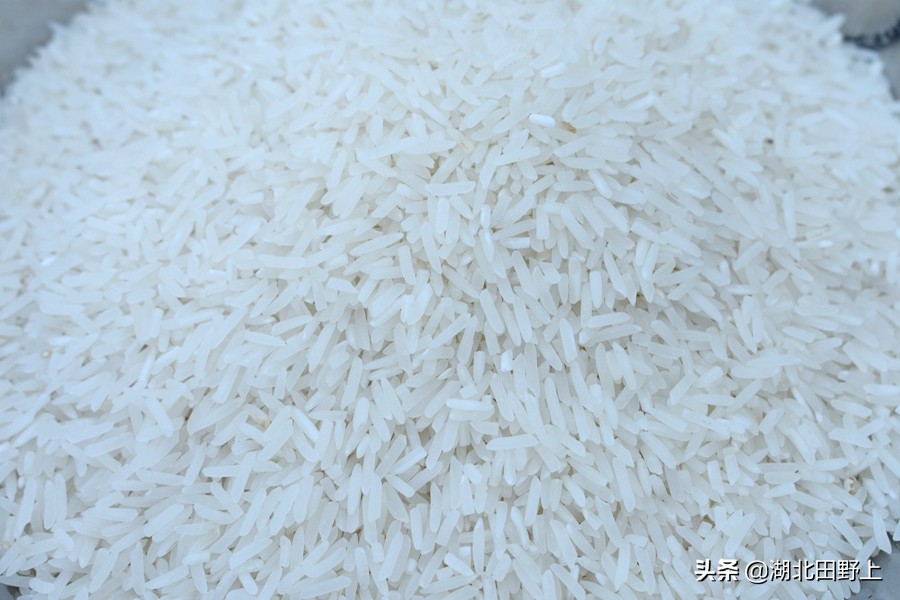 田野上團(tuán)隊(duì)回訪(fǎng)美麗的分鄉(xiāng)鎮(zhèn)插旗村