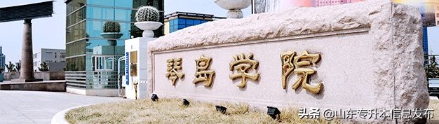 山东专升本各专业对应招考院校分析---计算机科学与技术