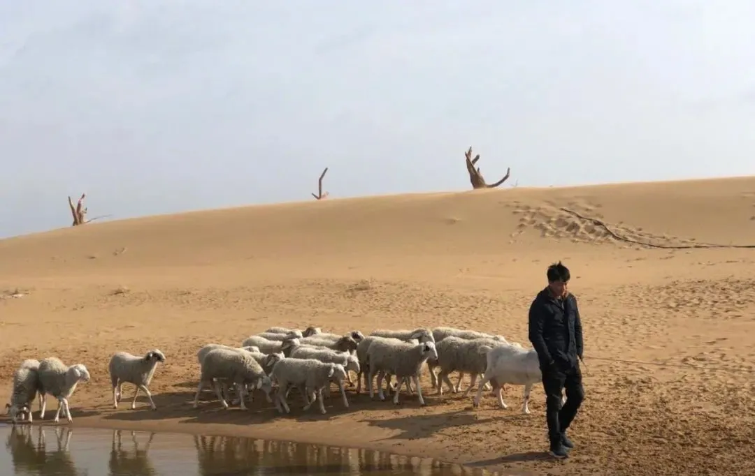 《乌海》,最真实的狗血故事