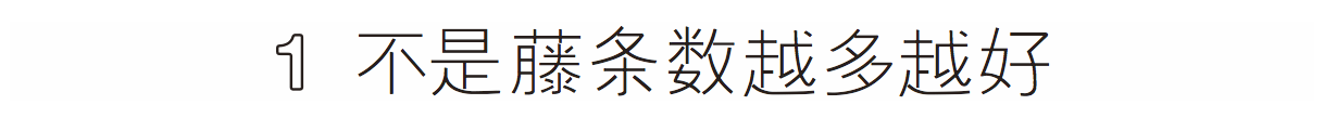 忍不住私藏的家居香薰品牌指南，室内香薰用什么好以及品牌？