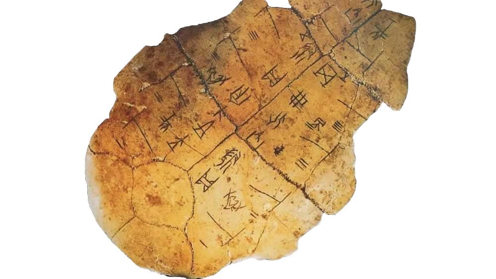 嘉字的故事寓意_飞翔号