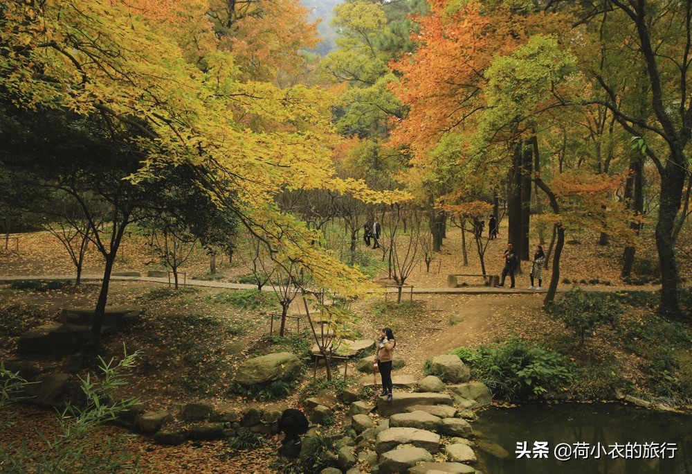 来苏州旅游不知道先去哪？5个必打卡的景点优先安排，别去错了