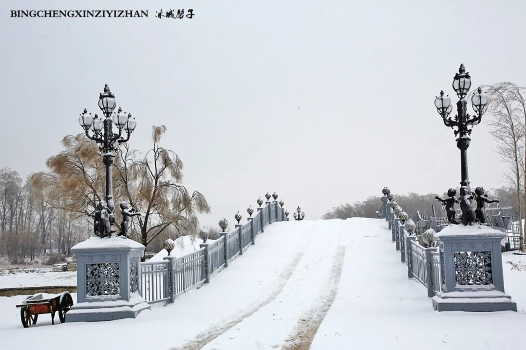 冰城暴雪冻雨之时，却让哈尔滨成为冬的水墨画卷