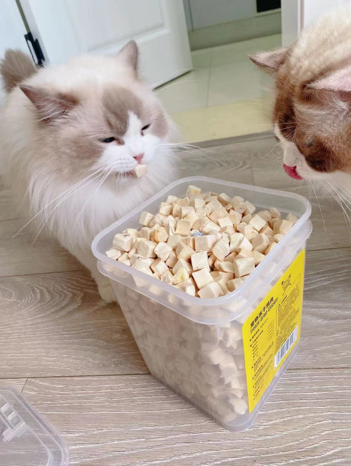 十款适口性好的猫粮推荐