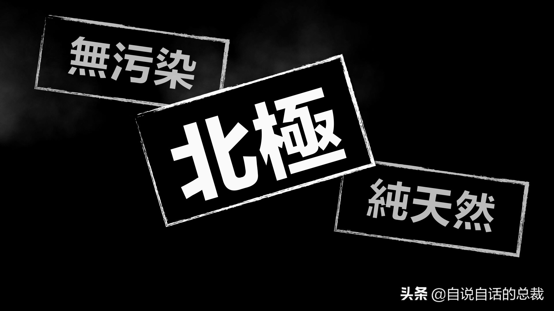 蛤、蚶、蛏、蚝、蚬有什么区别？这是一群美味海怪与人类的故事