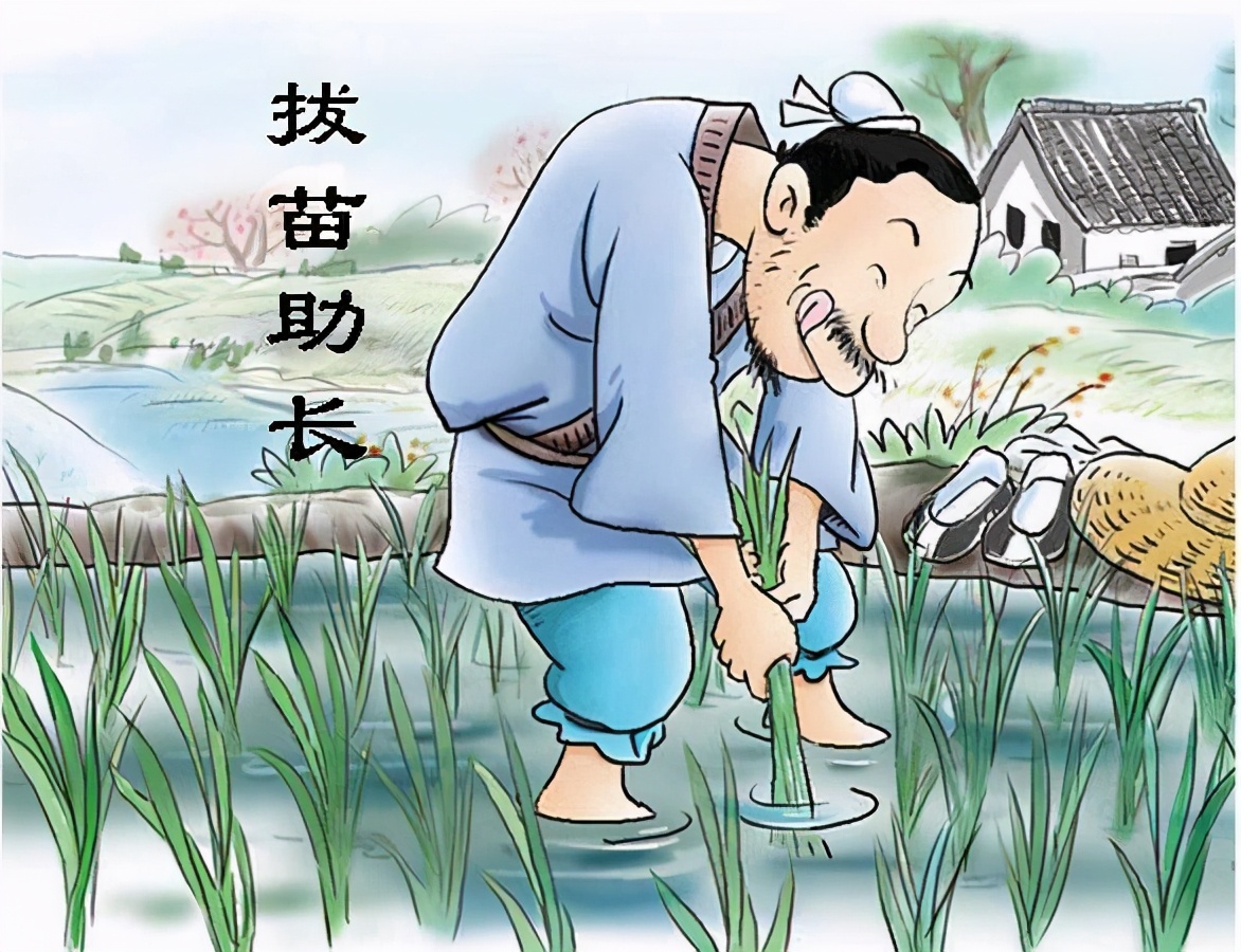 重读《拔苗助长》给我的启示