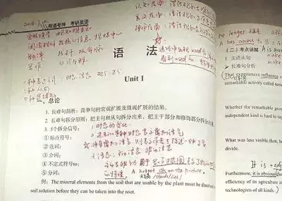 诗词才女武亦姝高考613分，将入读清华：一流父母都给孩子做榜样