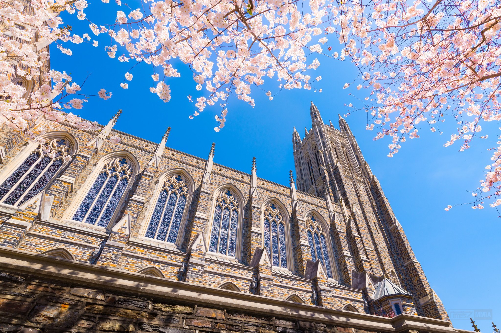 学校分尖子班和普通班的原因在此，尖子班和普通班区别是这样的