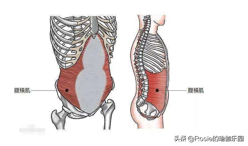跳绳、跳操水桶腰、大肚子甩不掉？每天坚持这3步，轻松缩腰瘦腹