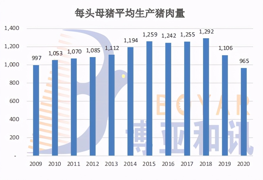 2022年猪价或跌破6元/斤，家禽业将迎来红利期，关注四大要素掌握生产秘笈