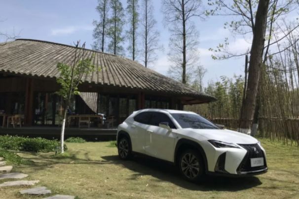 2019年，我们试过的这些车「上半年篇」