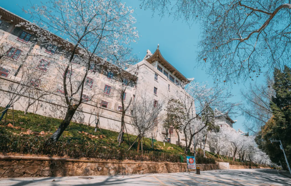 武汉有哪些知名大学？看完想重新再读一次