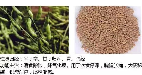 300个中草药图谱（附主治功效），知道一半就太牛了（上）