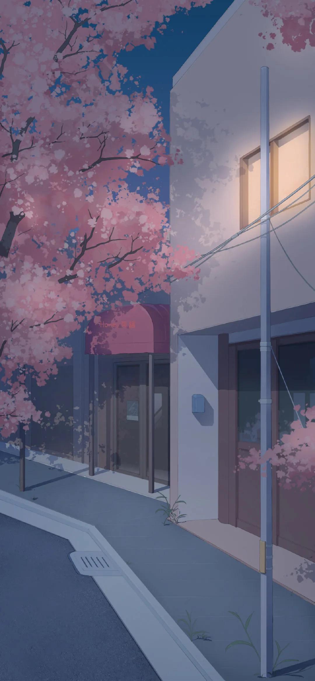 清新唯美樱花动漫风壁纸