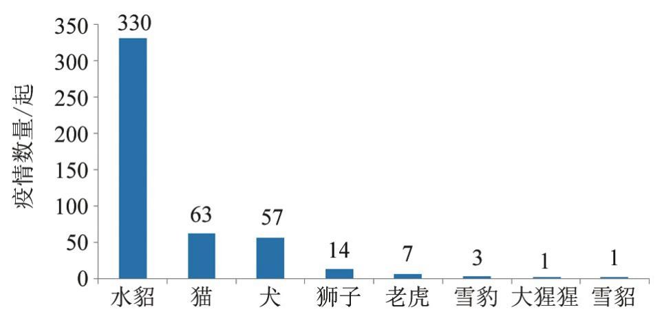 新冠向动物圈扩散，人与动物会相互传染吗？动物疫苗有没有必要？