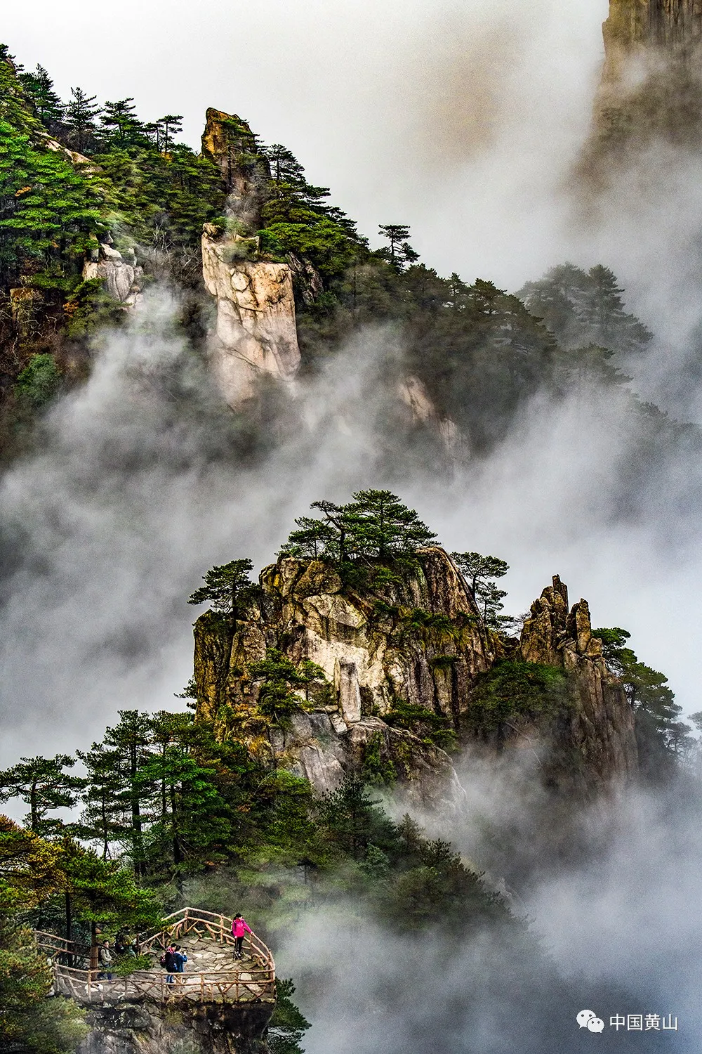 「黄山寻秋记」初秋、仲秋、晚秋,黄山赏秋时刻表来啦