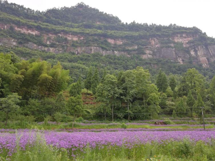 重庆周边旅游景点自驾，重庆旅游十大必去景点攻略