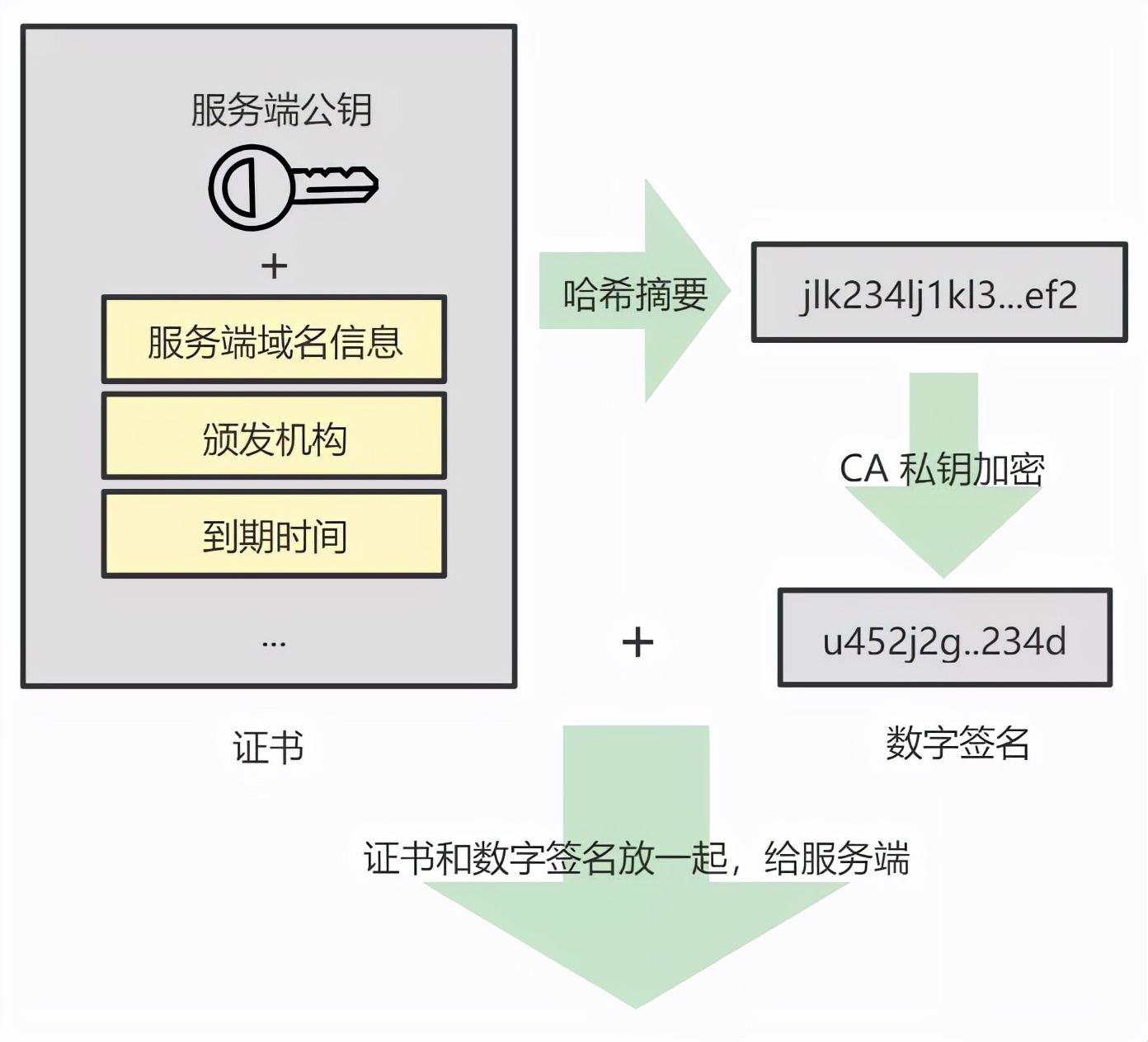 今天我抓了个 HTTPS 的包