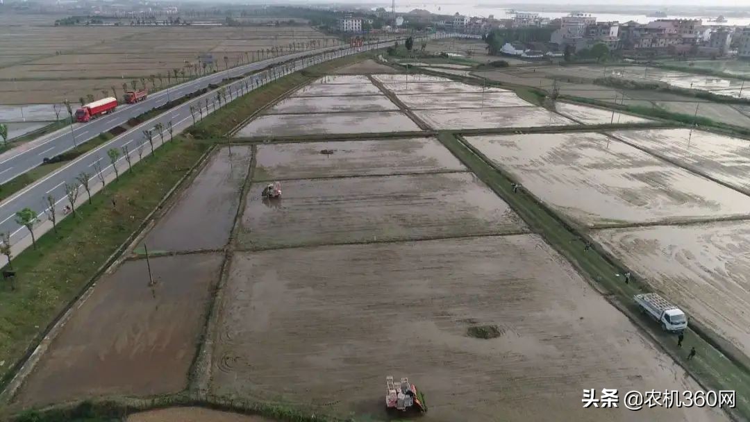 插秧機：70多個品牌，300個型號，5招教你消除選擇困難癥！