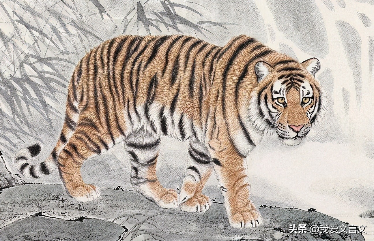 经典文言文赏析 | 象虎