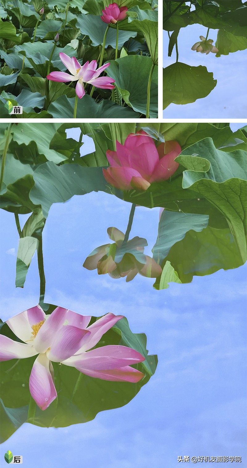 Ps≠专业，手机后期≠低端，选择适合自己的后期工具才是最重要的