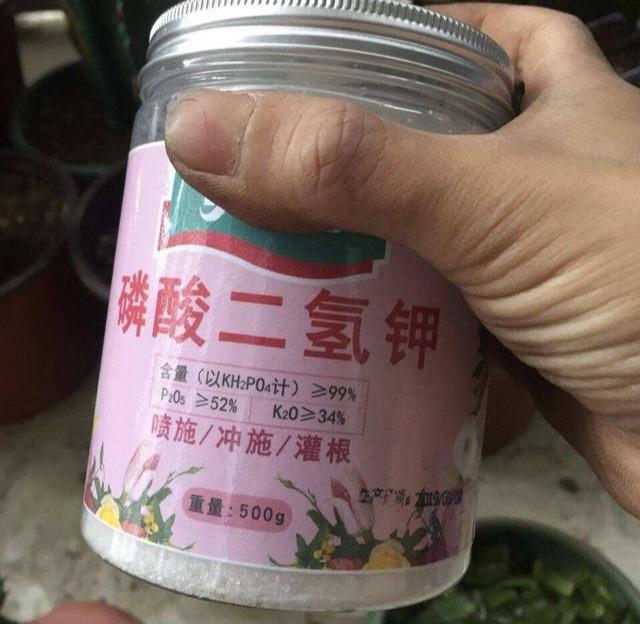 多菌灵、吡虫啉、磷酸二氢钾,用法对了,效果好10倍