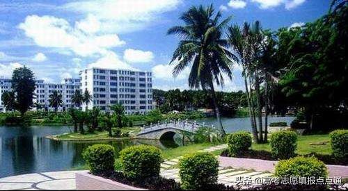 海南大学优势专业分析及2019、2018、2017年各省录取分数线