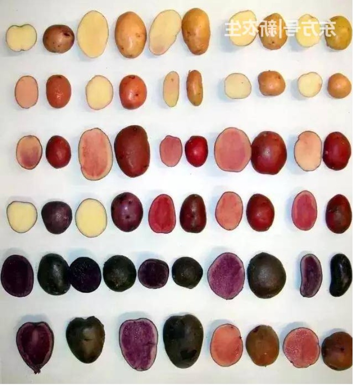 没想到，西北农林科技大学竟然有“两副面孔”