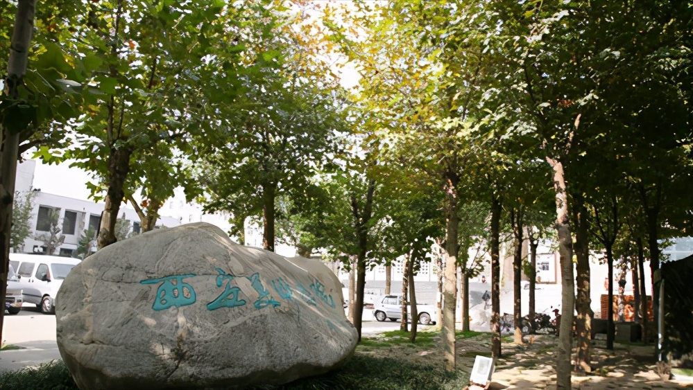 西安美院录取分数线公布，校考大类专业综合分齐降，雕塑逆势上扬