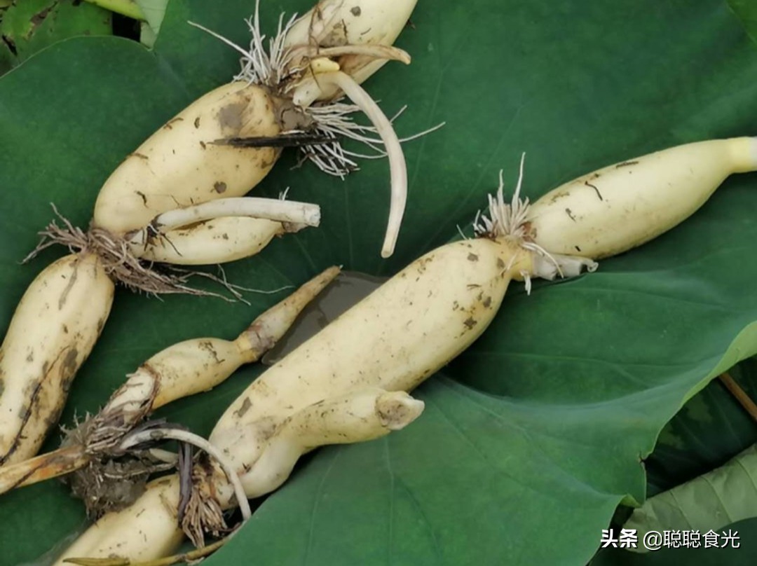 买莲藕,要分清"七孔藕"和"九孔藕",口感差别大,买错了难吃