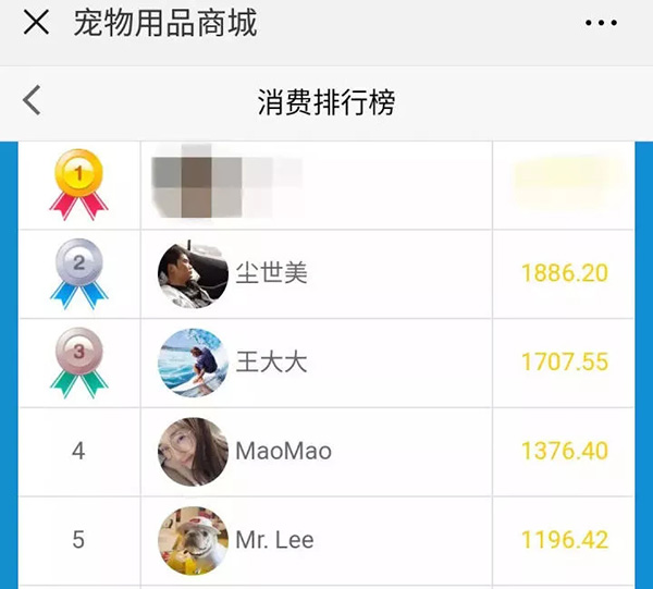 大学生在宿舍养猪被通报批评：因猪长太大被发现