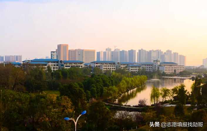 重庆985大学有哪些（西南）