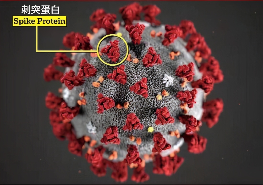 印度变异毒株首次出现社区传播，会在中国扩散吗？疫苗还有没有用