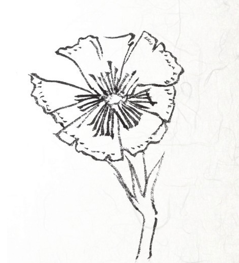 工笔花卉技法花冠的结构你了解多少