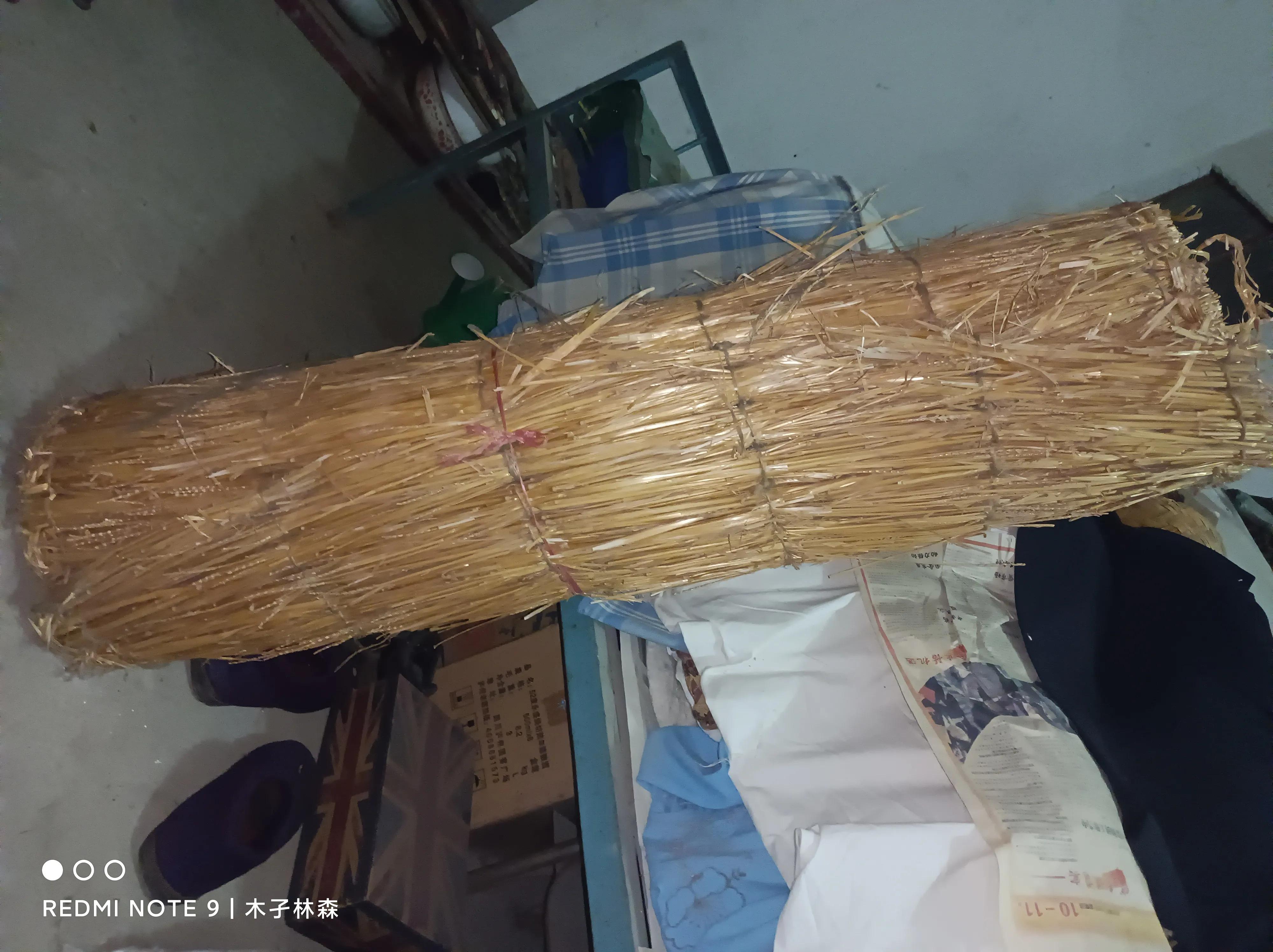 十大全谷物盘点：那些年我们吃过的健康主食