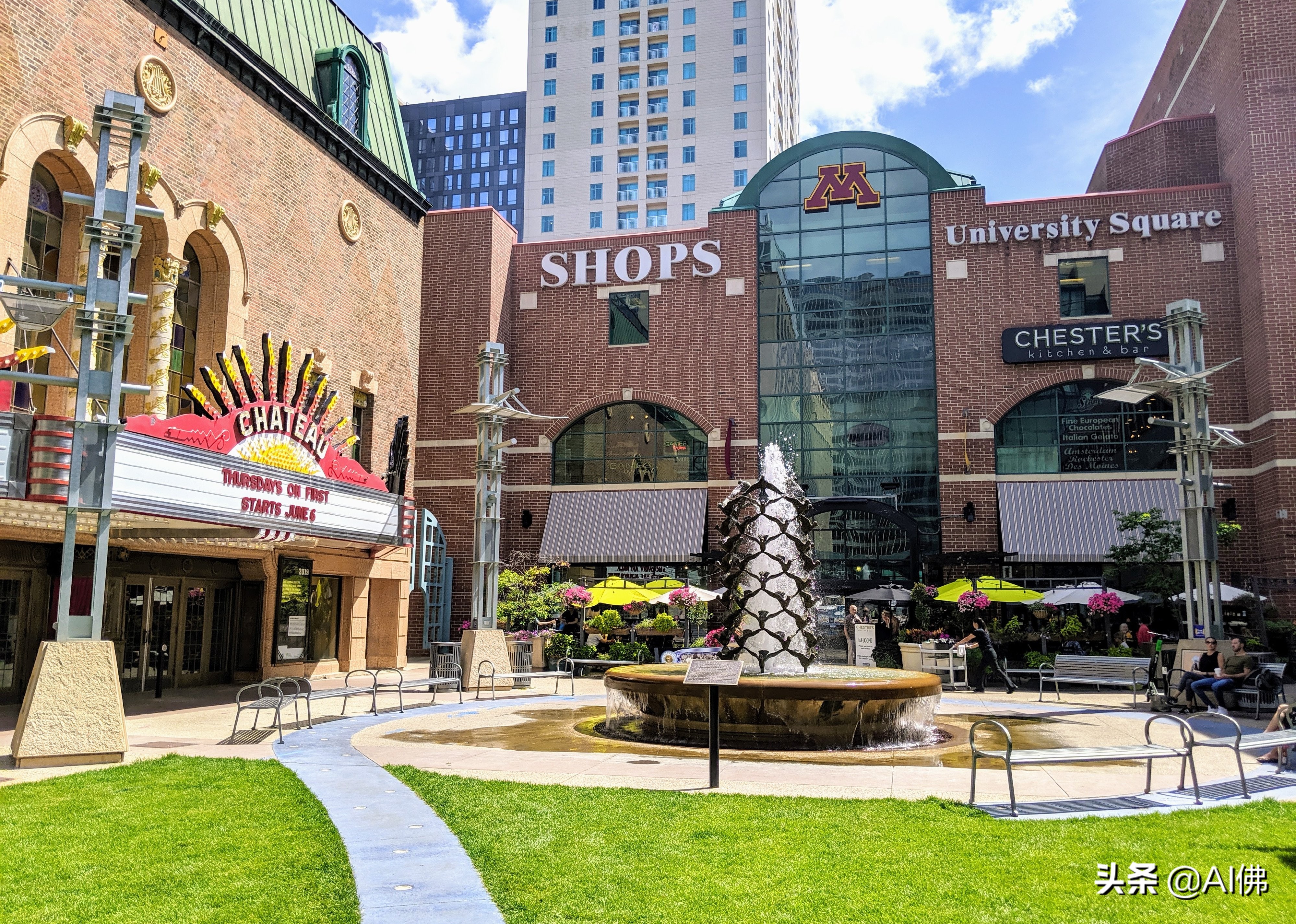 美国每个州ROI最高的公立大学