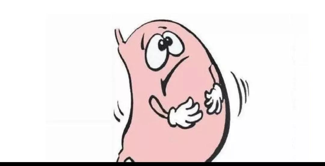 慢性胃炎为何老是反复？哪些坏习惯让治疗功亏一篑？一文说清