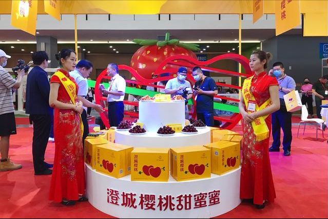 科普12个国产樱桃知名产区：天下樱桃出烟台？何处樱桃更好吃？