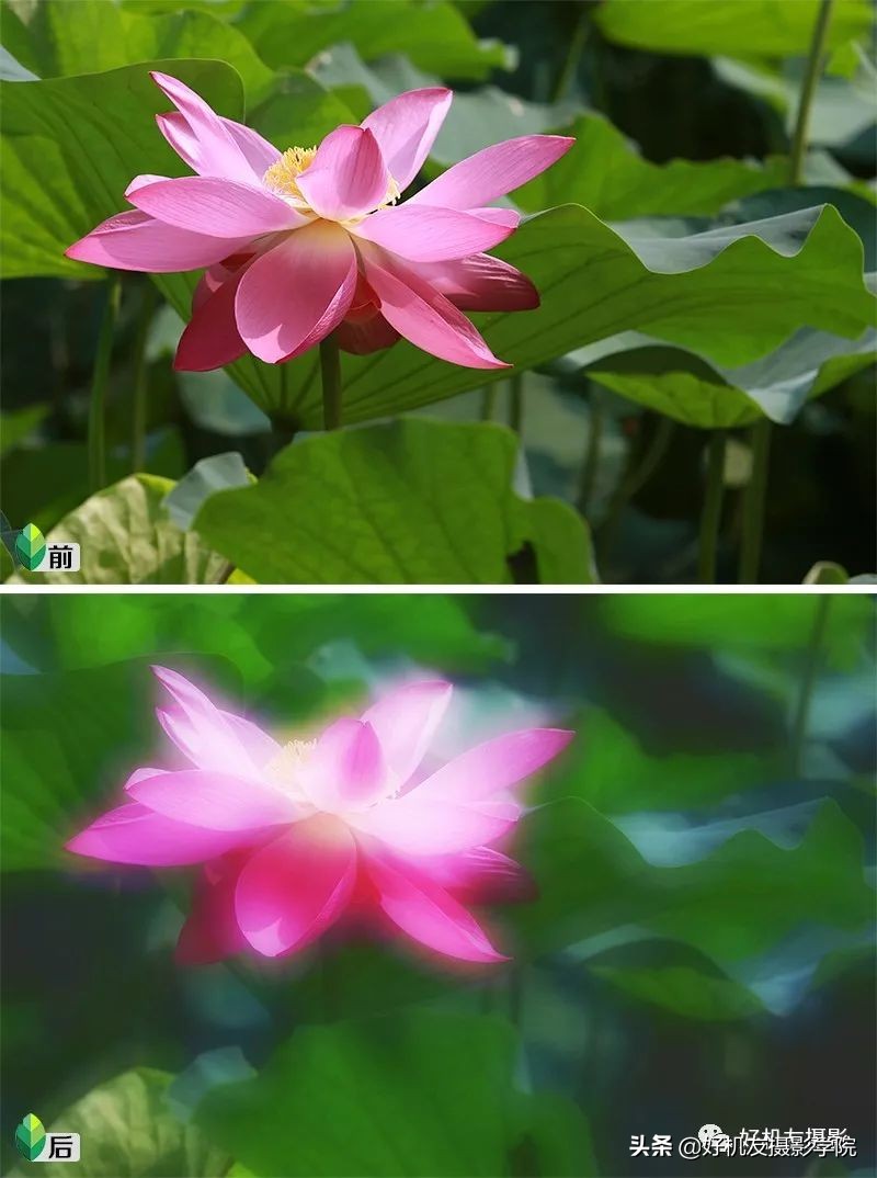 Ps≠专业，手机后期≠低端，选择适合自己的后期工具才是最重要的